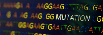 Viruses mutation data